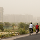 Cyclists pedaling on the outskirts of New Delhi on June 14, 2018.